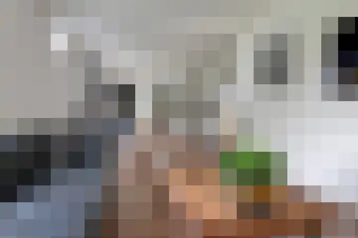 Zomerweg 49 Drempt thumbnail 19