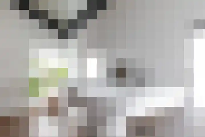 Zomerweg 49 Drempt thumbnail 27