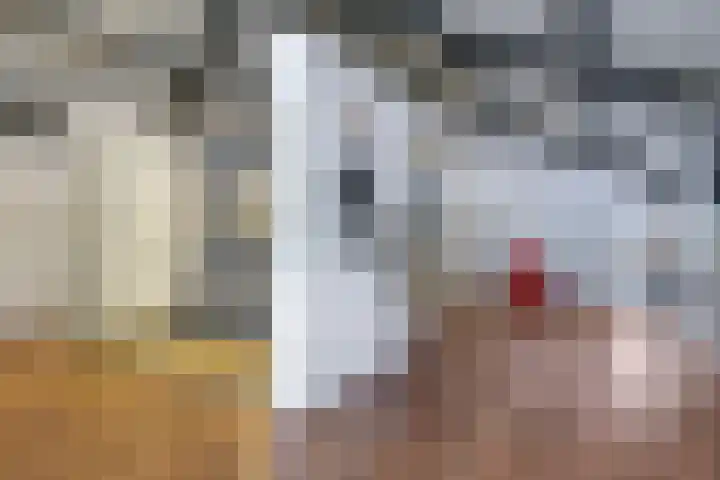 Zomerweg 49 Drempt thumbnail 28