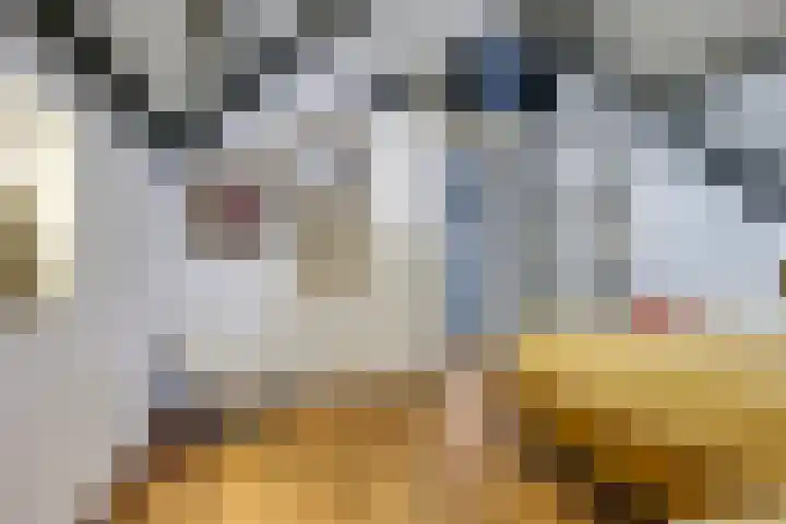 Zomerweg 49 Drempt thumbnail 30