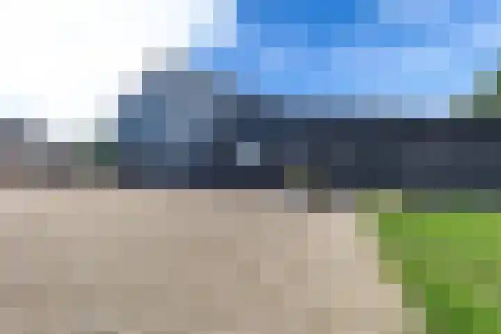 Zomerweg 49 Drempt thumbnail 55