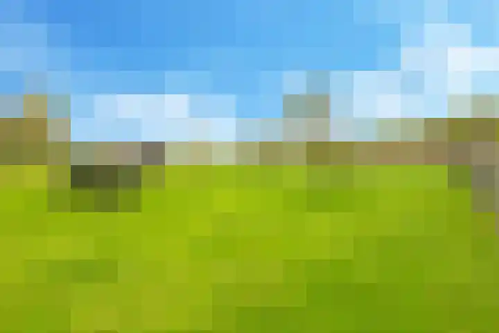 Zomerweg 49 Drempt thumbnail 61