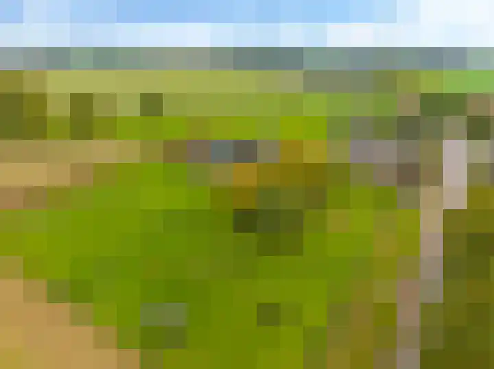 Zomerweg 49 Drempt thumbnail 63