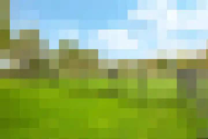 Zomerweg 49 Drempt thumbnail 64