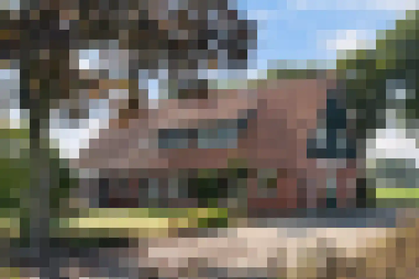 Zomerweg 5 Ambt Delden thumbnail 4