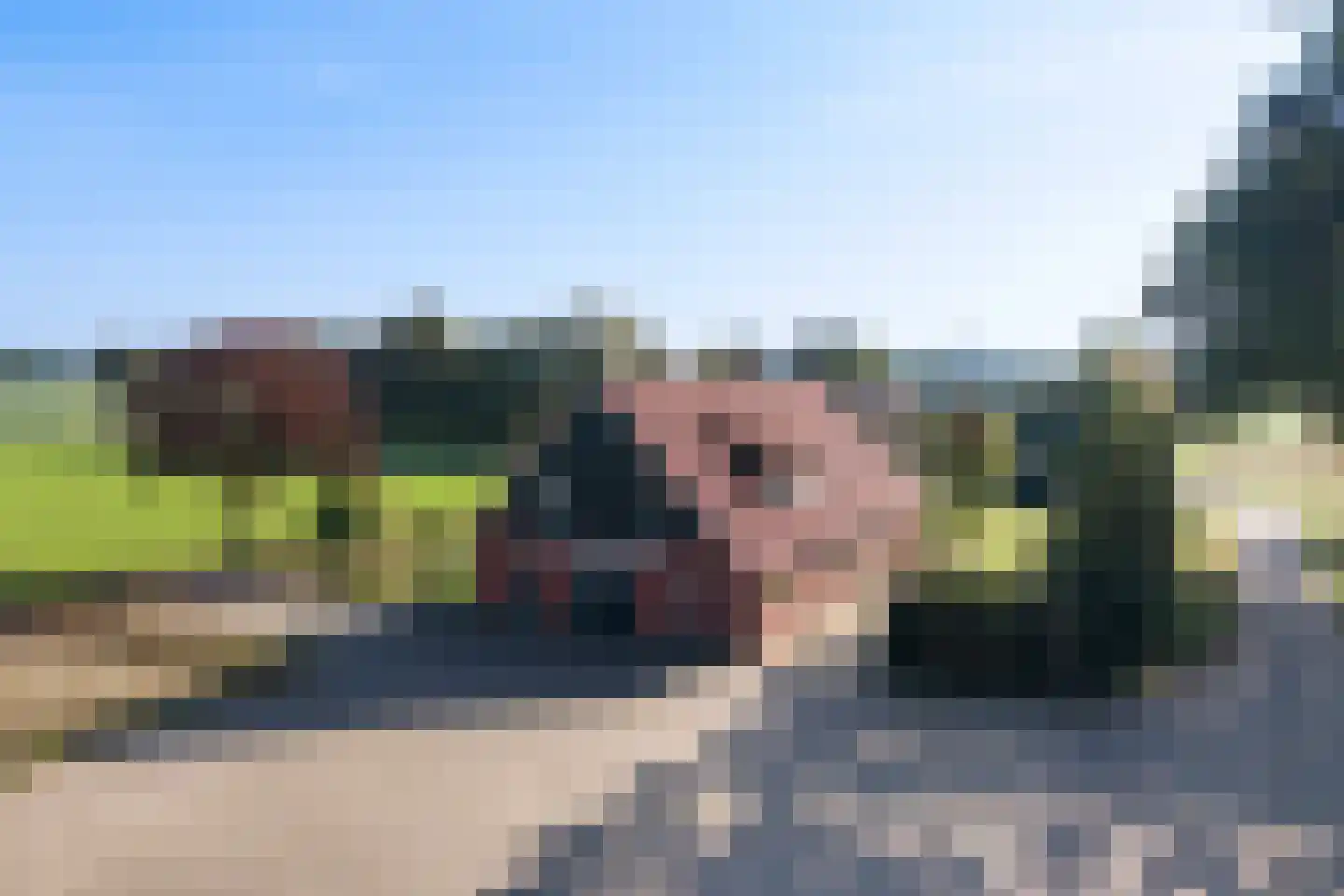 Zomerweg 5 Ambt Delden thumbnail 40