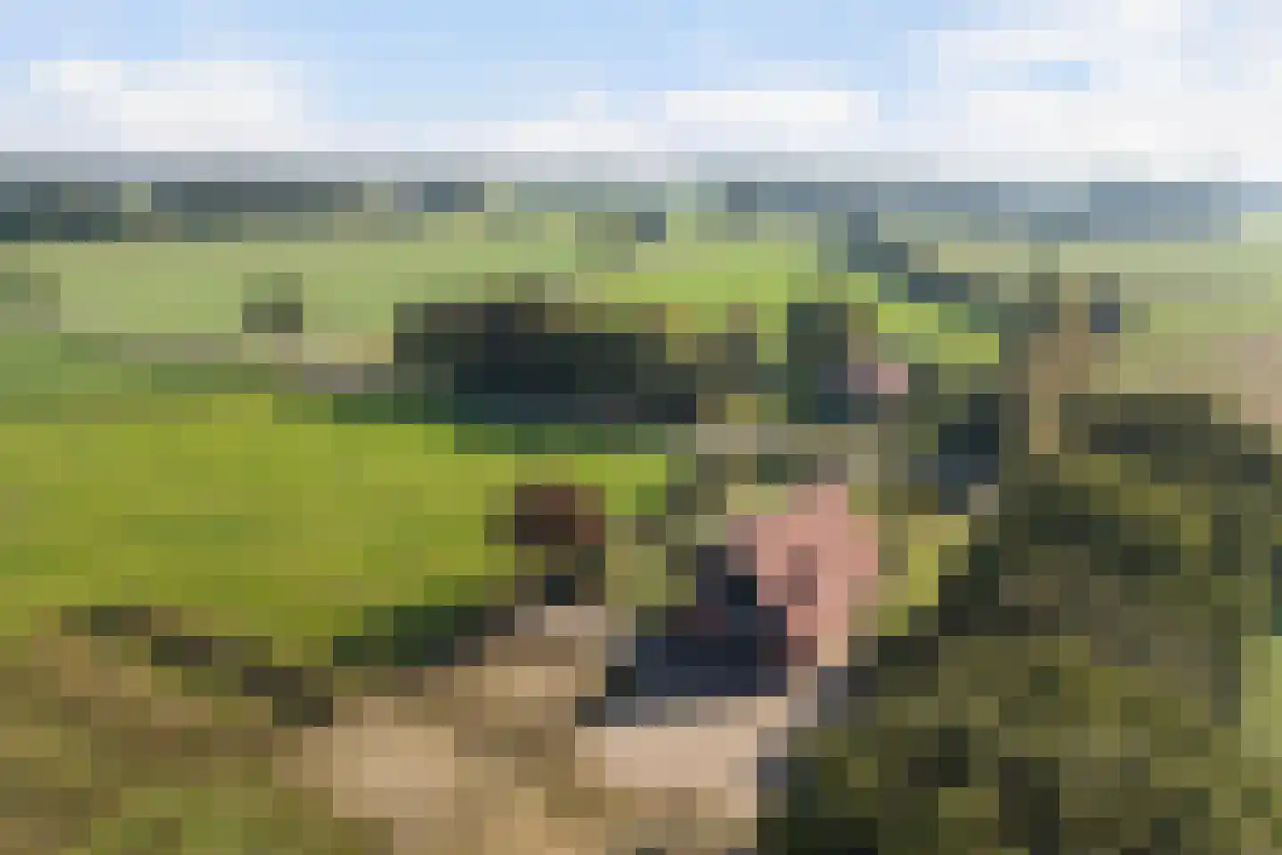 Zomerweg 5 Ambt Delden thumbnail 41