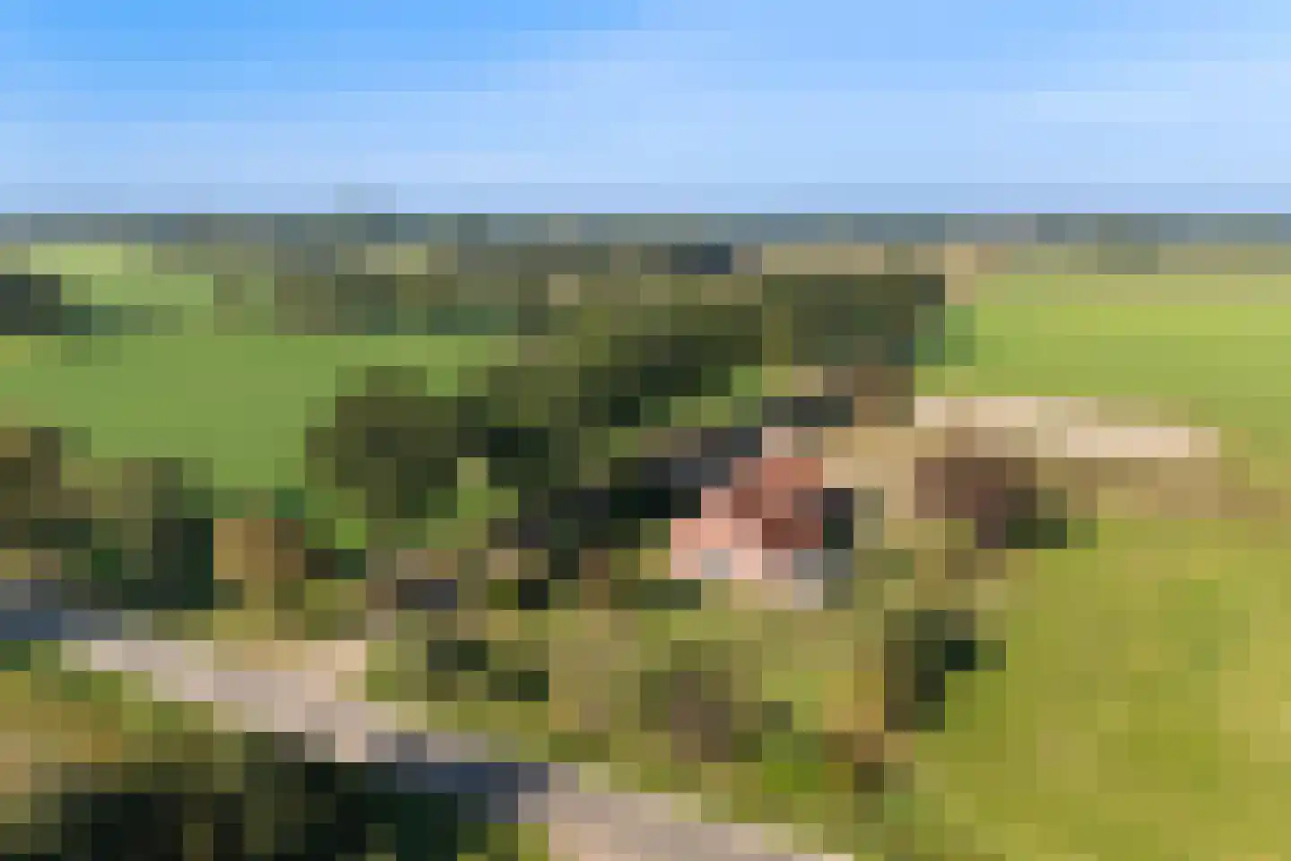 Zomerweg 5 Ambt Delden thumbnail 42