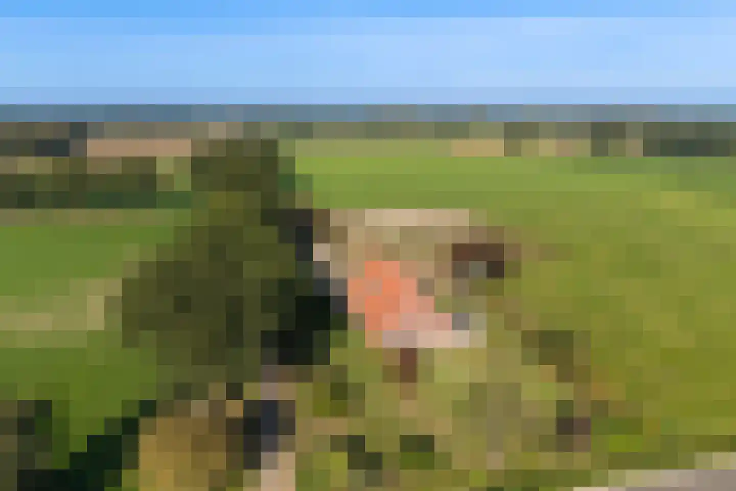 Zomerweg 5 Ambt Delden thumbnail 43
