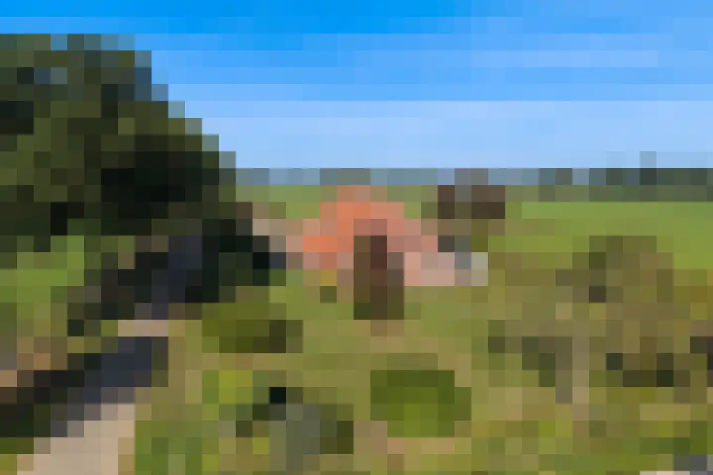Zomerweg 5 Ambt Delden thumbnail 44