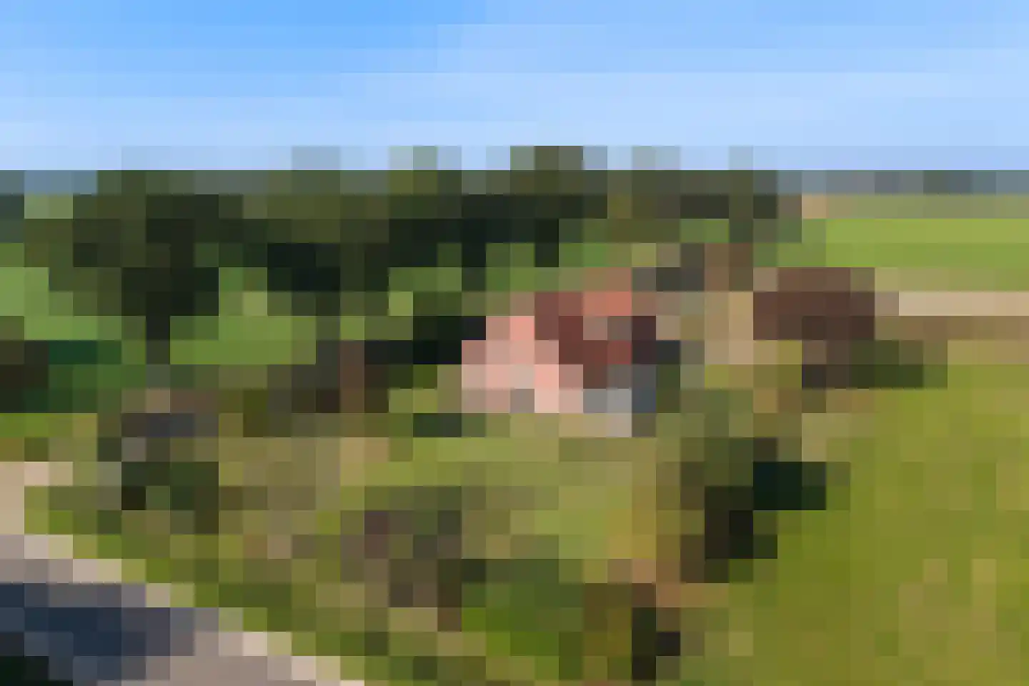 Zomerweg 5 Ambt Delden thumbnail 45
