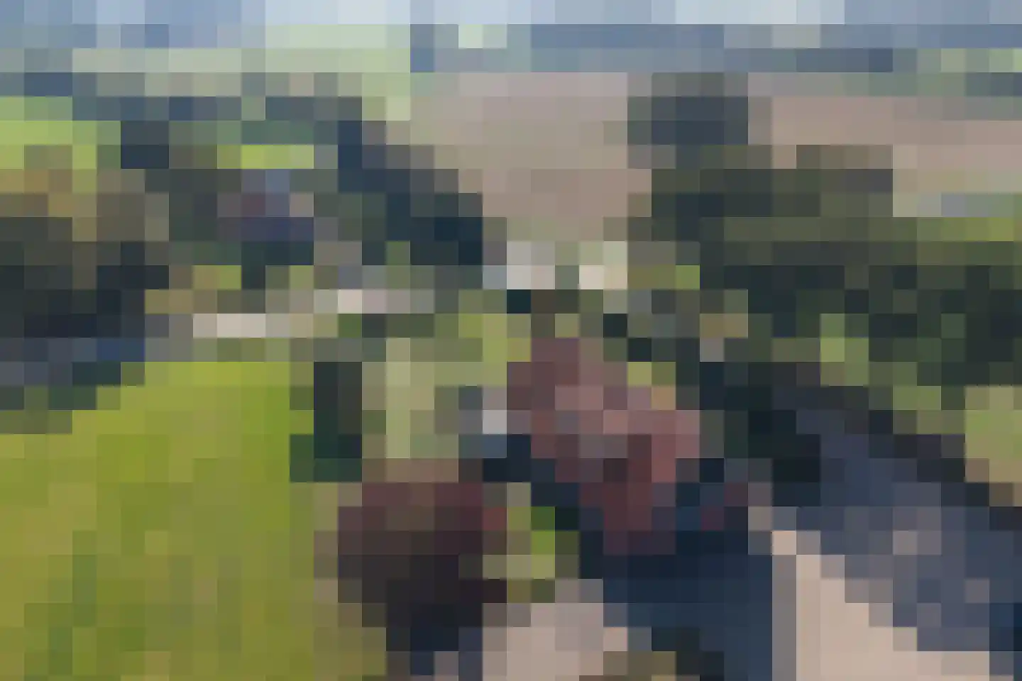 Zomerweg 5 Ambt Delden thumbnail 7