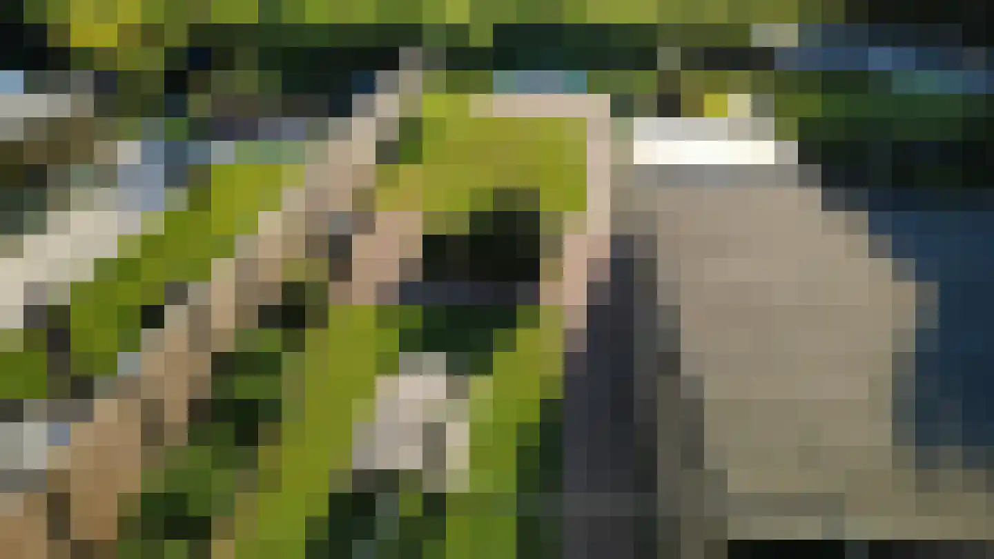 Zomerweg 55 Kloetinge thumbnail 35