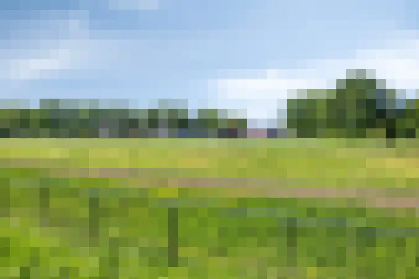 Zomerweg 55 Kloetinge thumbnail 46