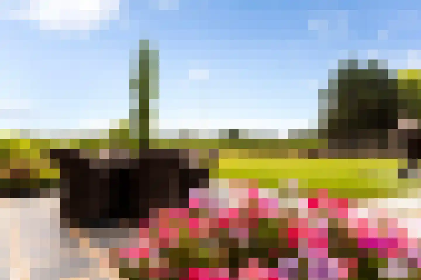 Zomerweg 60 Drempt thumbnail 10