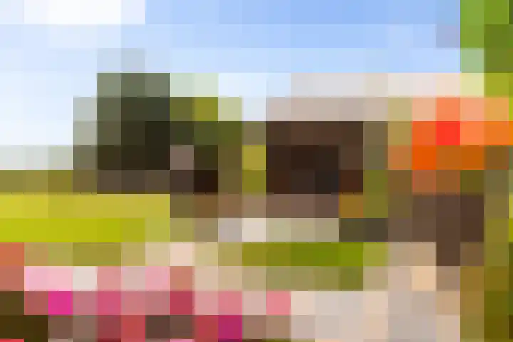 Zomerweg 60 Drempt thumbnail 10