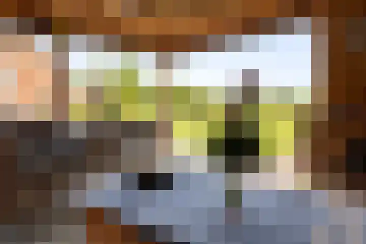 Zomerweg 60 Drempt thumbnail 11