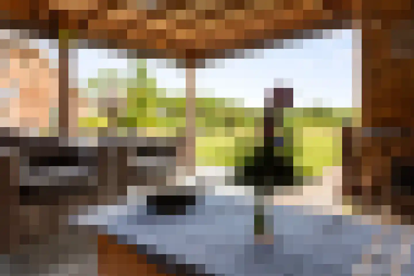 Zomerweg 60 Drempt thumbnail 12