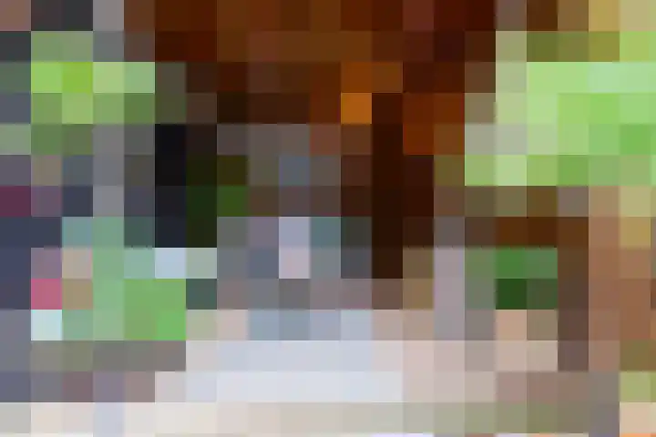Zomerweg 60 Drempt thumbnail 15