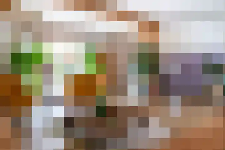 Zomerweg 60 Drempt thumbnail 15