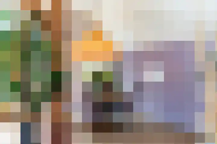Zomerweg 60 Drempt thumbnail 16