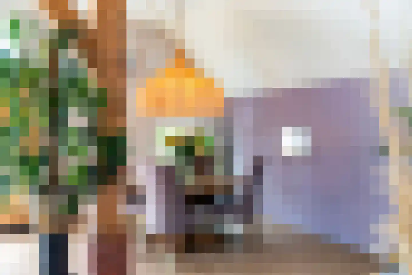 Zomerweg 60 Drempt thumbnail 17