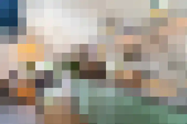 Zomerweg 60 Drempt thumbnail 20