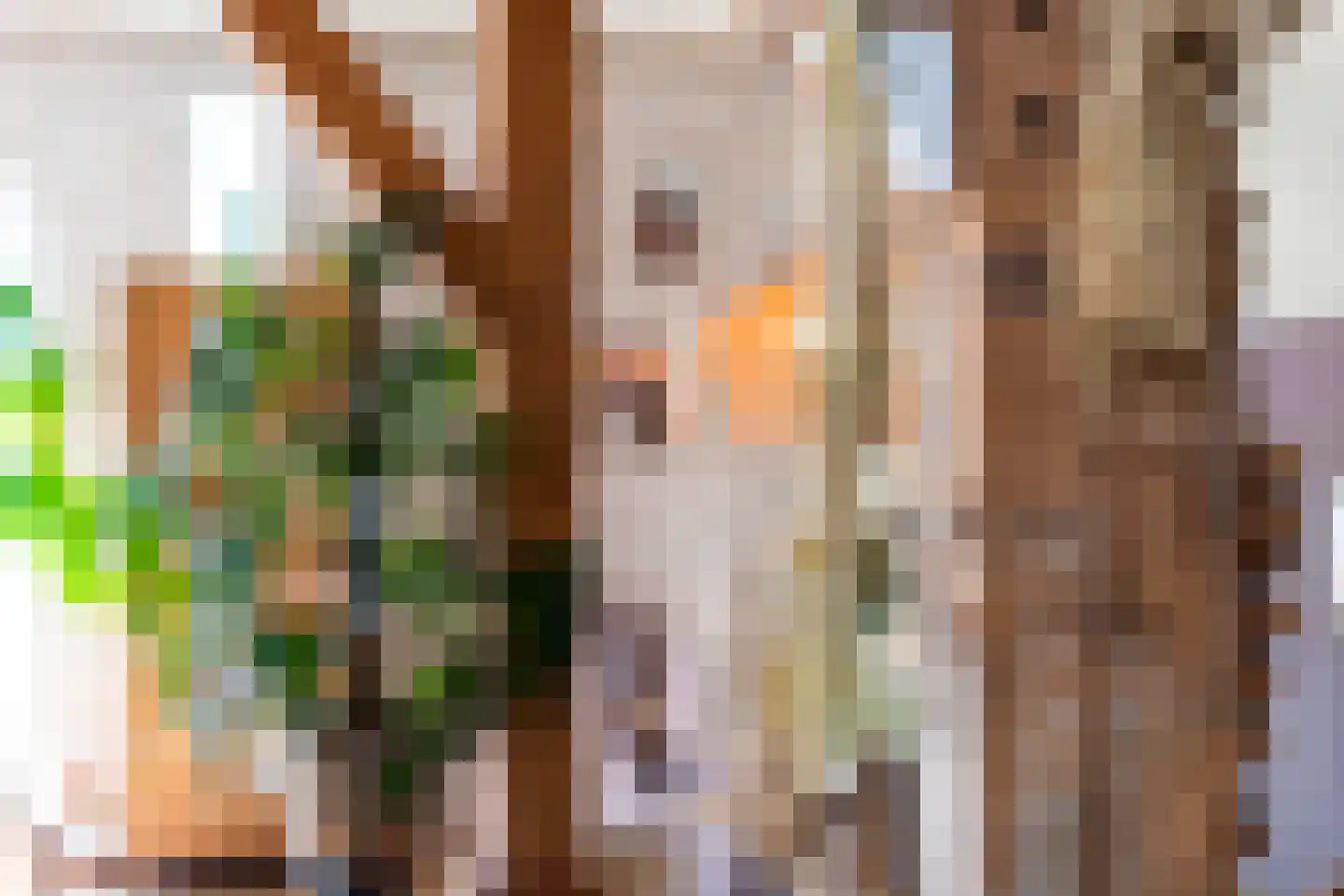 Zomerweg 60 Drempt thumbnail 27