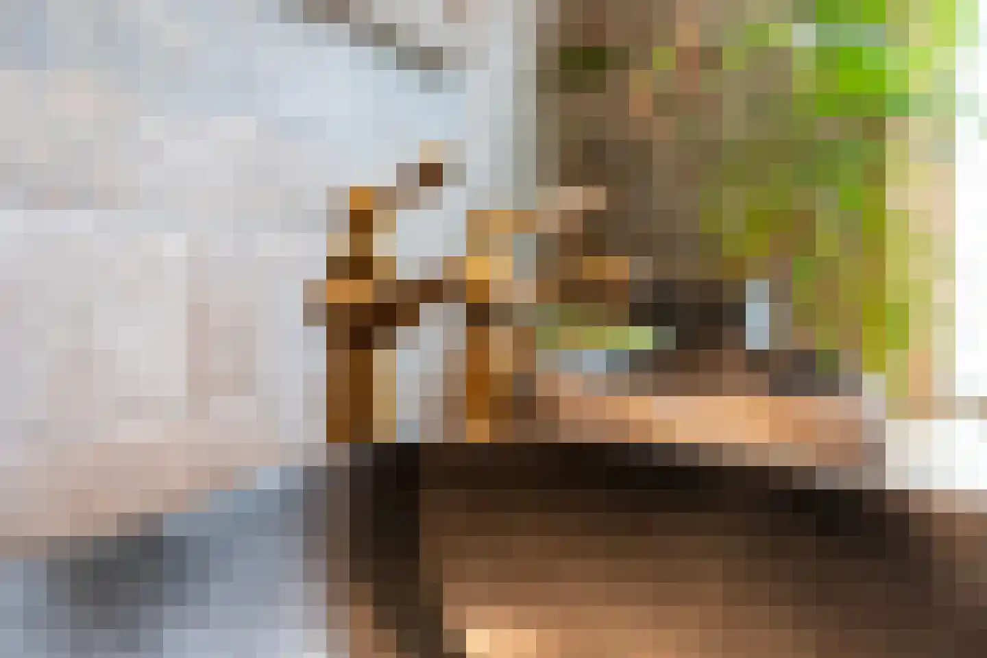 Zomerweg 60 Drempt thumbnail 35