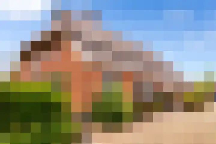 Zomerweg 60 Drempt thumbnail 43