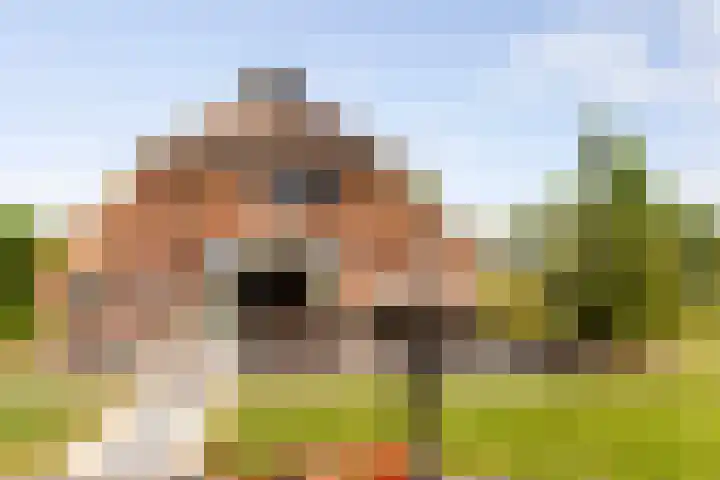 Zomerweg 60 Drempt thumbnail 44
