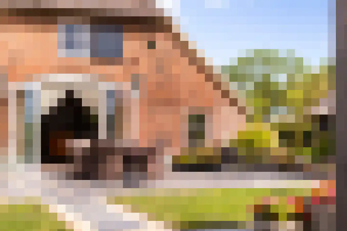 Zomerweg 60 Drempt thumbnail 45