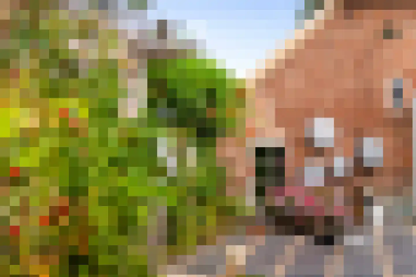 Zomerweg 60 Drempt thumbnail 46