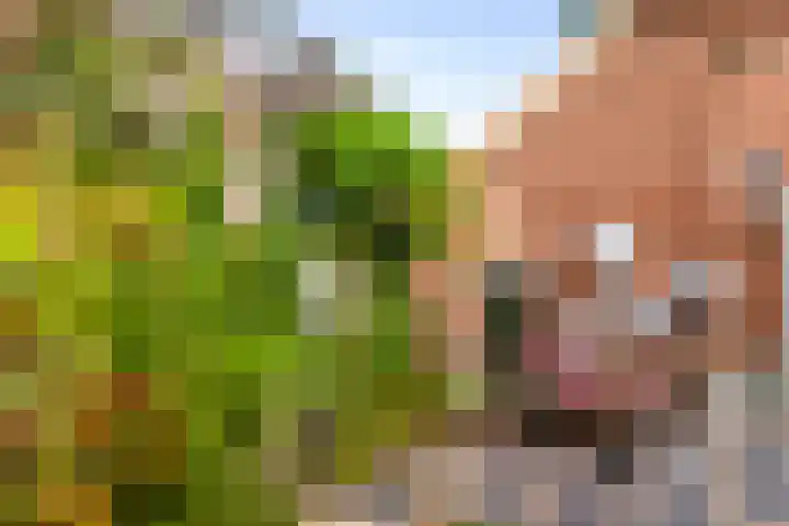 Zomerweg 60 Drempt thumbnail 46