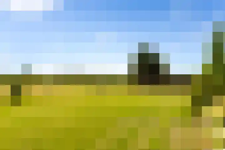 Zomerweg 60 Drempt thumbnail 5