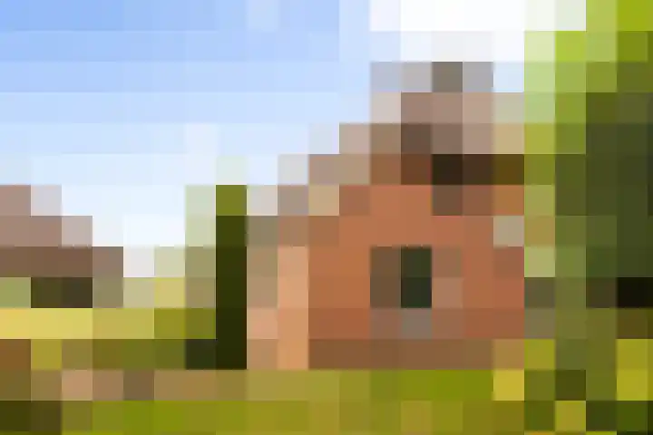 Zomerweg 60 Drempt thumbnail 50