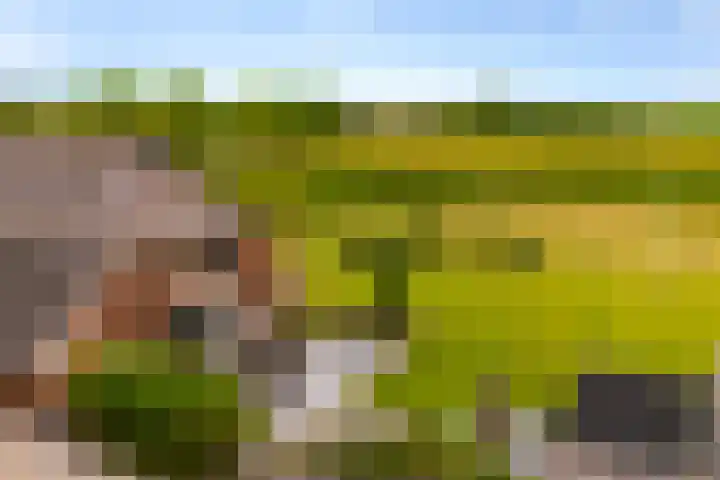 Zomerweg 60 Drempt thumbnail 51