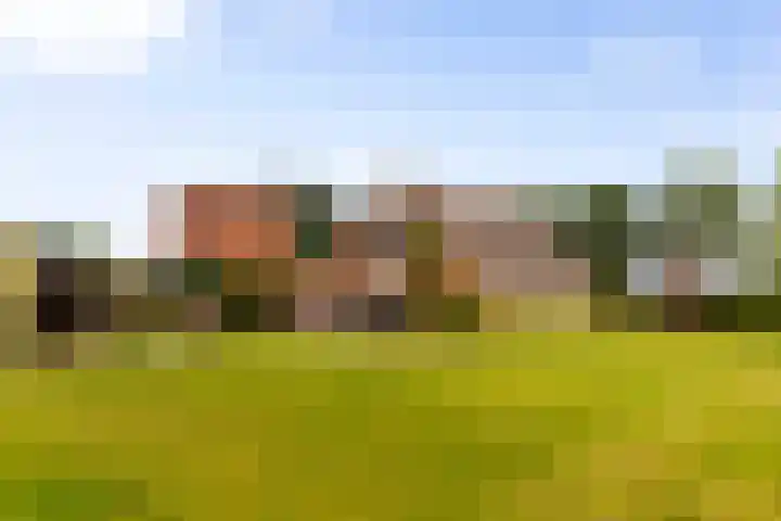 Zomerweg 60 Drempt thumbnail 52