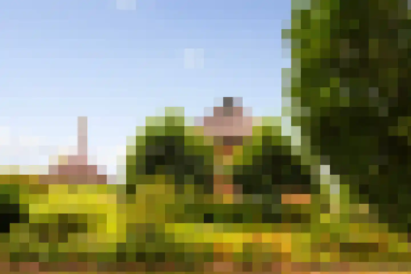 Zomerweg 60 Drempt thumbnail 53