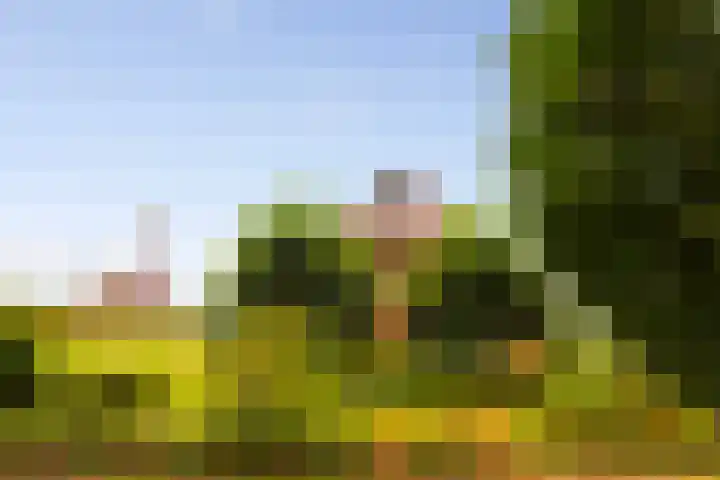 Zomerweg 60 Drempt thumbnail 53