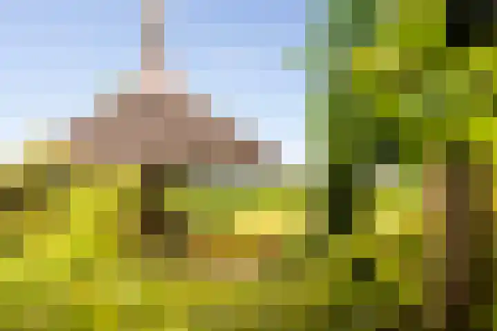 Zomerweg 60 Drempt thumbnail 55