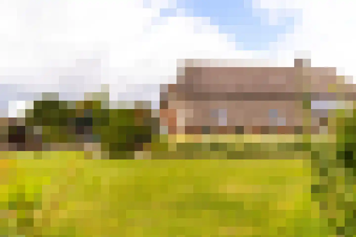 Zomerweg 60 Drempt thumbnail 57