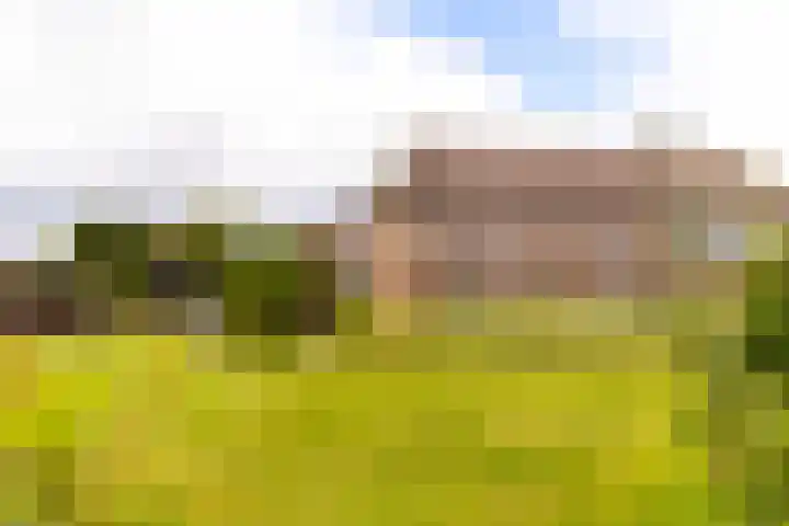 Zomerweg 60 Drempt thumbnail 57