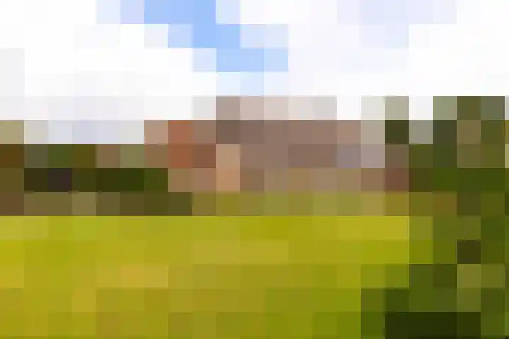 Zomerweg 60 Drempt thumbnail 58