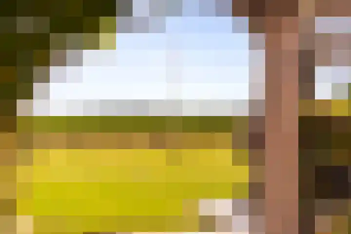 Zomerweg 60 Drempt thumbnail 59