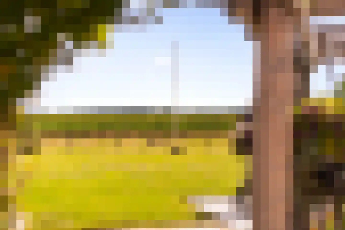 Zomerweg 60 Drempt thumbnail 59