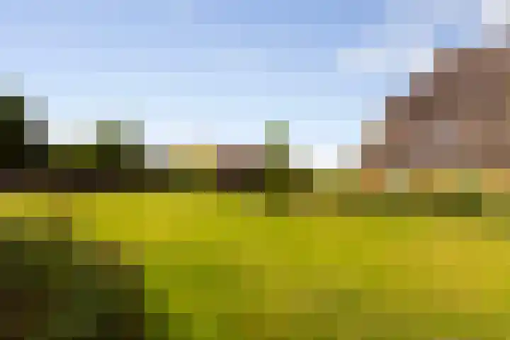 Zomerweg 60 Drempt thumbnail 6