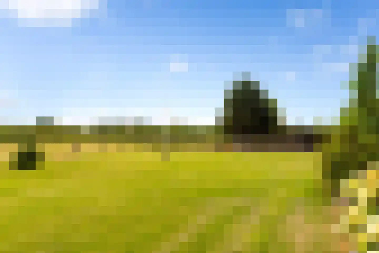 Zomerweg 60 Drempt thumbnail 6