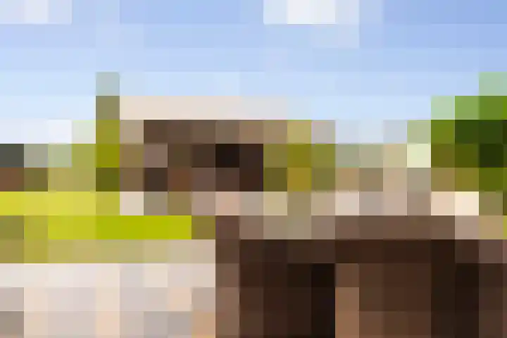 Zomerweg 60 Drempt thumbnail 60