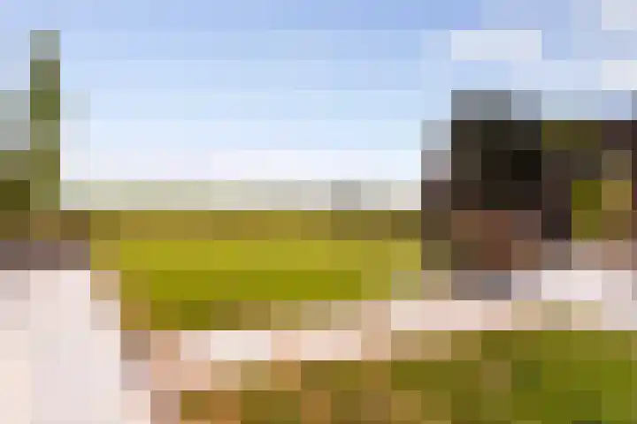 Zomerweg 60 Drempt thumbnail 61